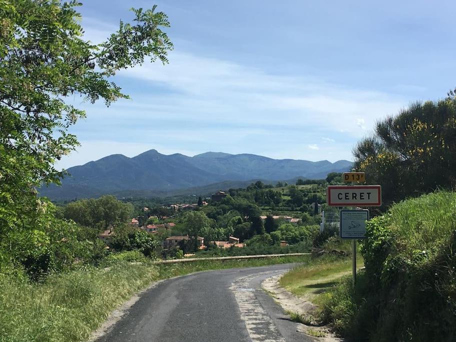 Au Coeur De Ville Avec Terrasse Céret Dış mekan fotoğraf