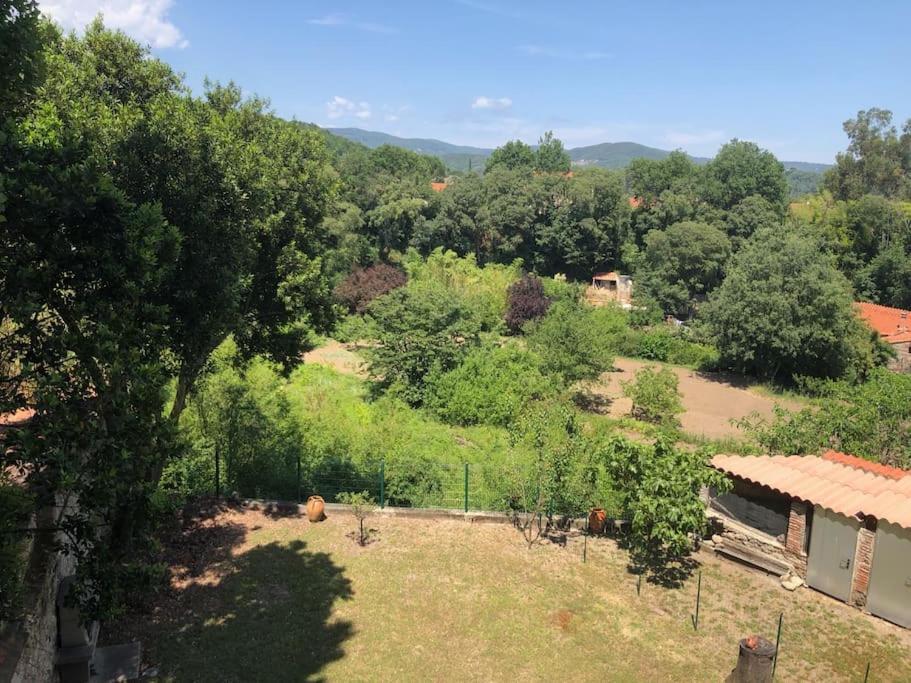 Au Coeur De Ville Avec Terrasse Céret Dış mekan fotoğraf